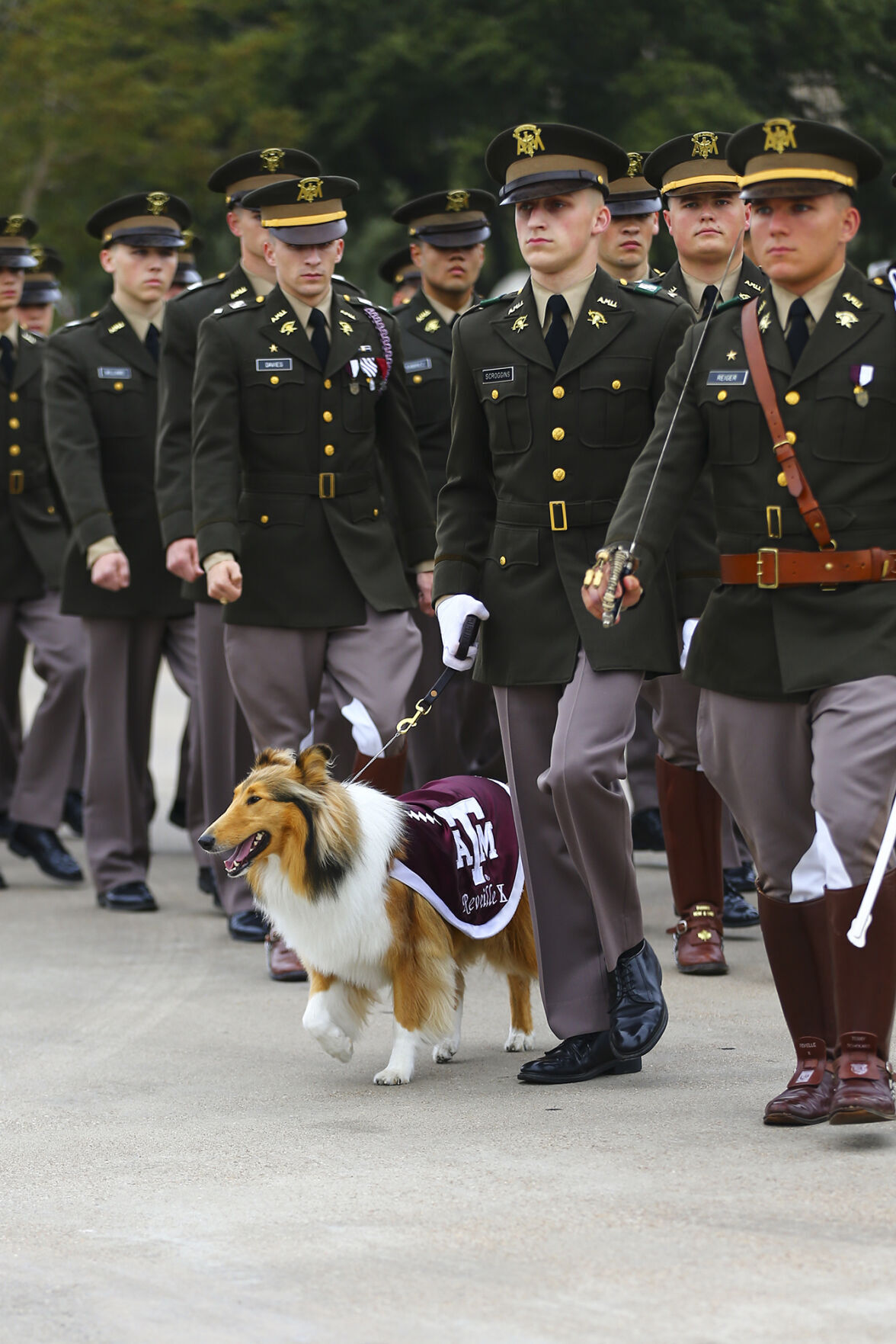 Texas A&M vs. Prairie View A&M